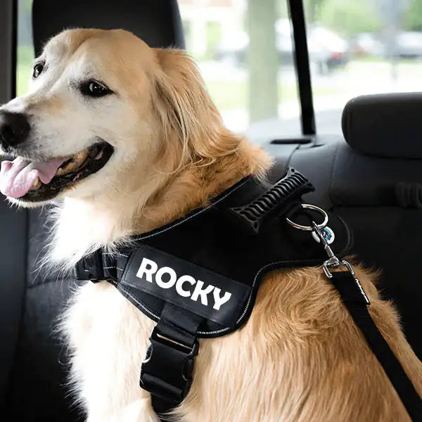 Dog Safety Seat Belt (adjustable)