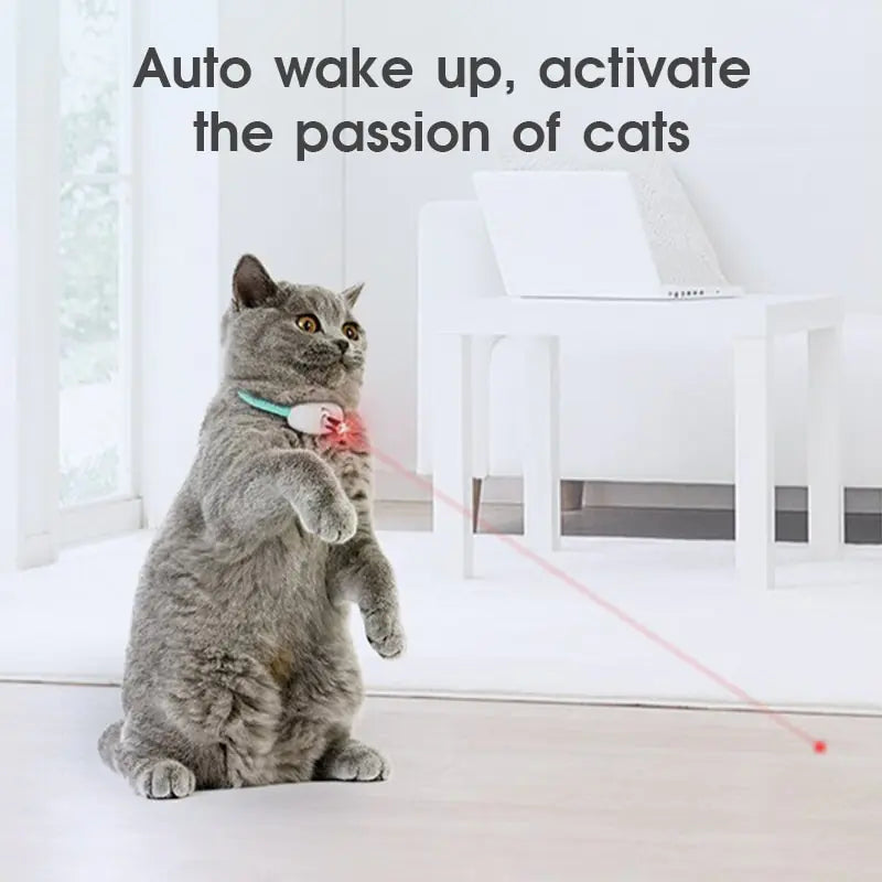 CAT Automatic Laser Toy