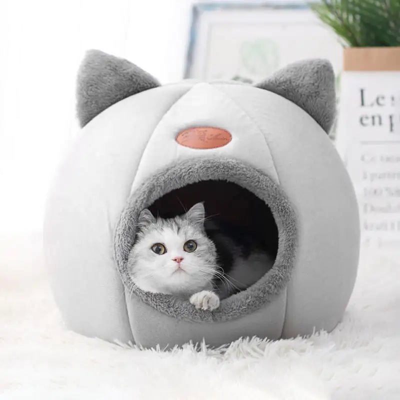 Cat Home