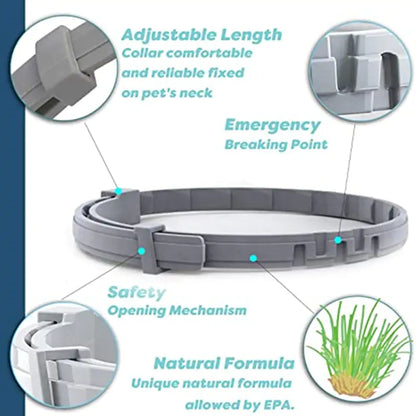 Anti-Flea Pet Collar